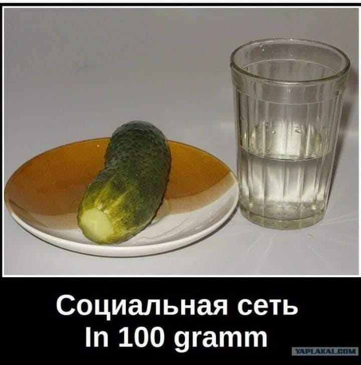 Социальная сеть 100 9гатт