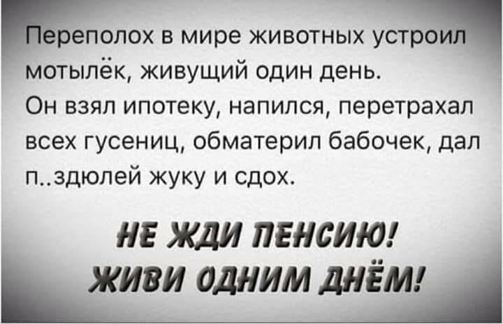реполох в мире животных устрощ мотылёк живущий один день Он взял ипотеку напился перетрахал всех гусениц обматерил бабочек дал пздюлей жуку и сдох НЕ Жди ПЕНСИЮ _ живи одним днём
