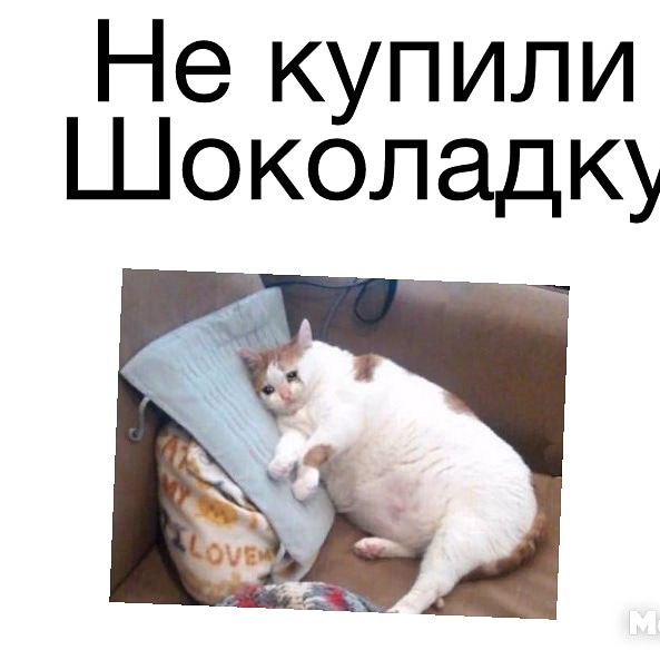 Не купили Шоколадку