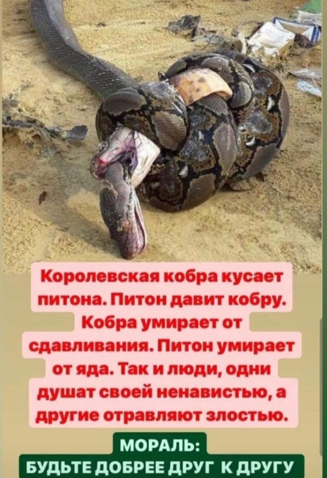 МОРАЛЬ БУДЬТЕ ДОБРЕЕ дРУГ К ДРУ