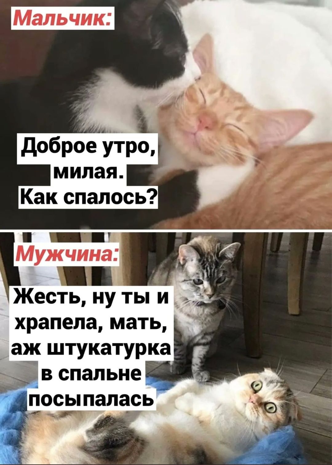храпепа мать аж штукатурка посыпалась