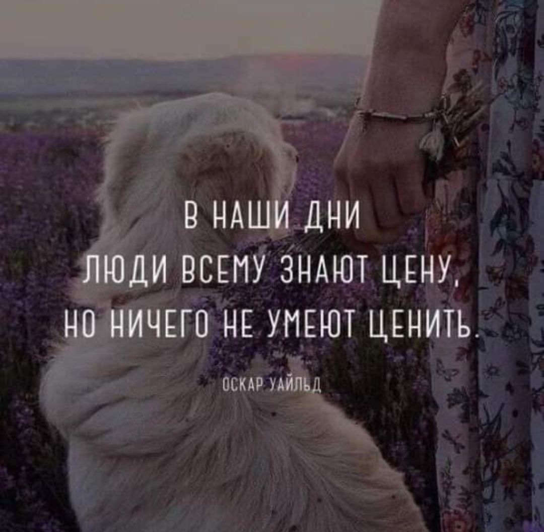р НАШИ_ ДНИ ВСЕМУ ЗНАЮТ ЦЕНУ Е УМЕЮТ ЦЕНИТЬ щ Жа