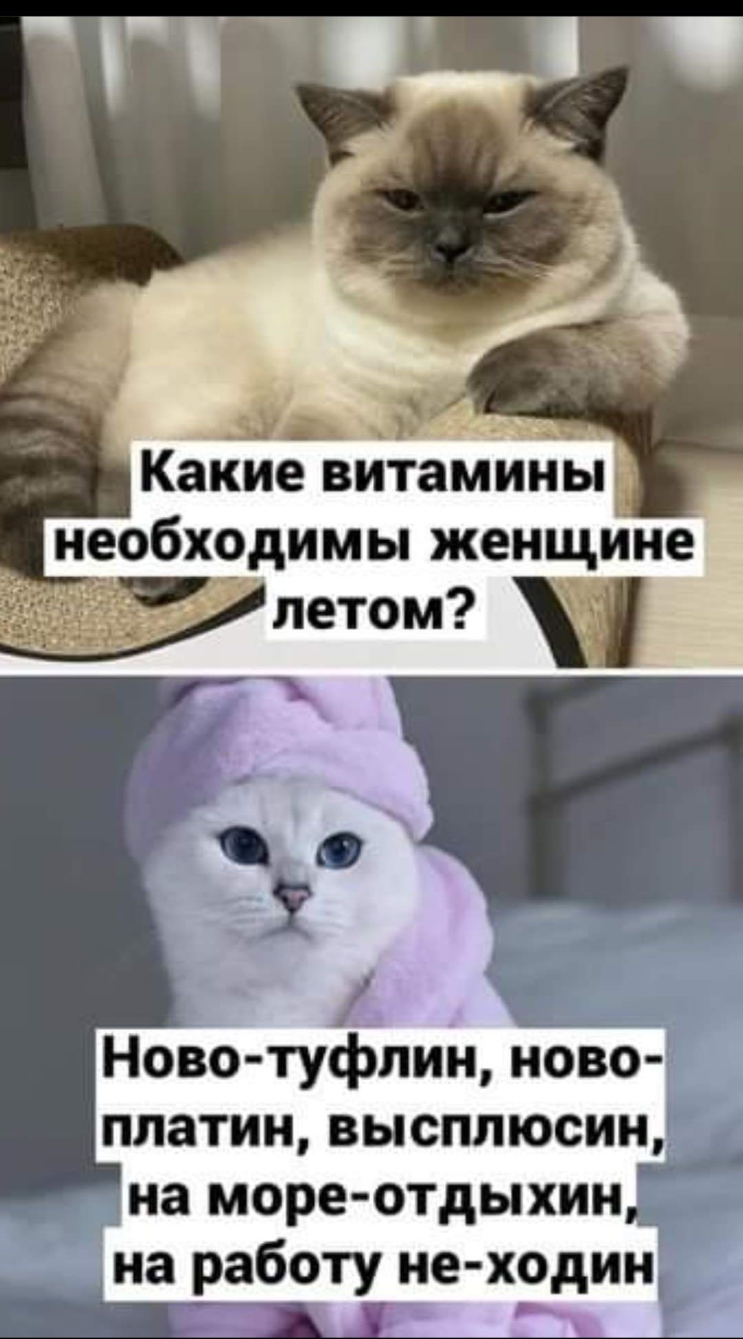 иеобх9димы женщине летом
