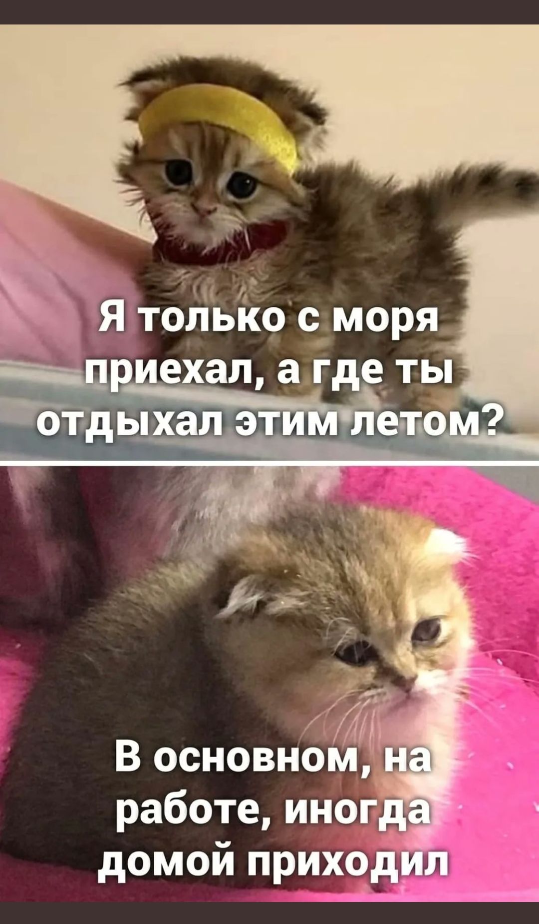 А Я только 9моря домой приход л _ Ё