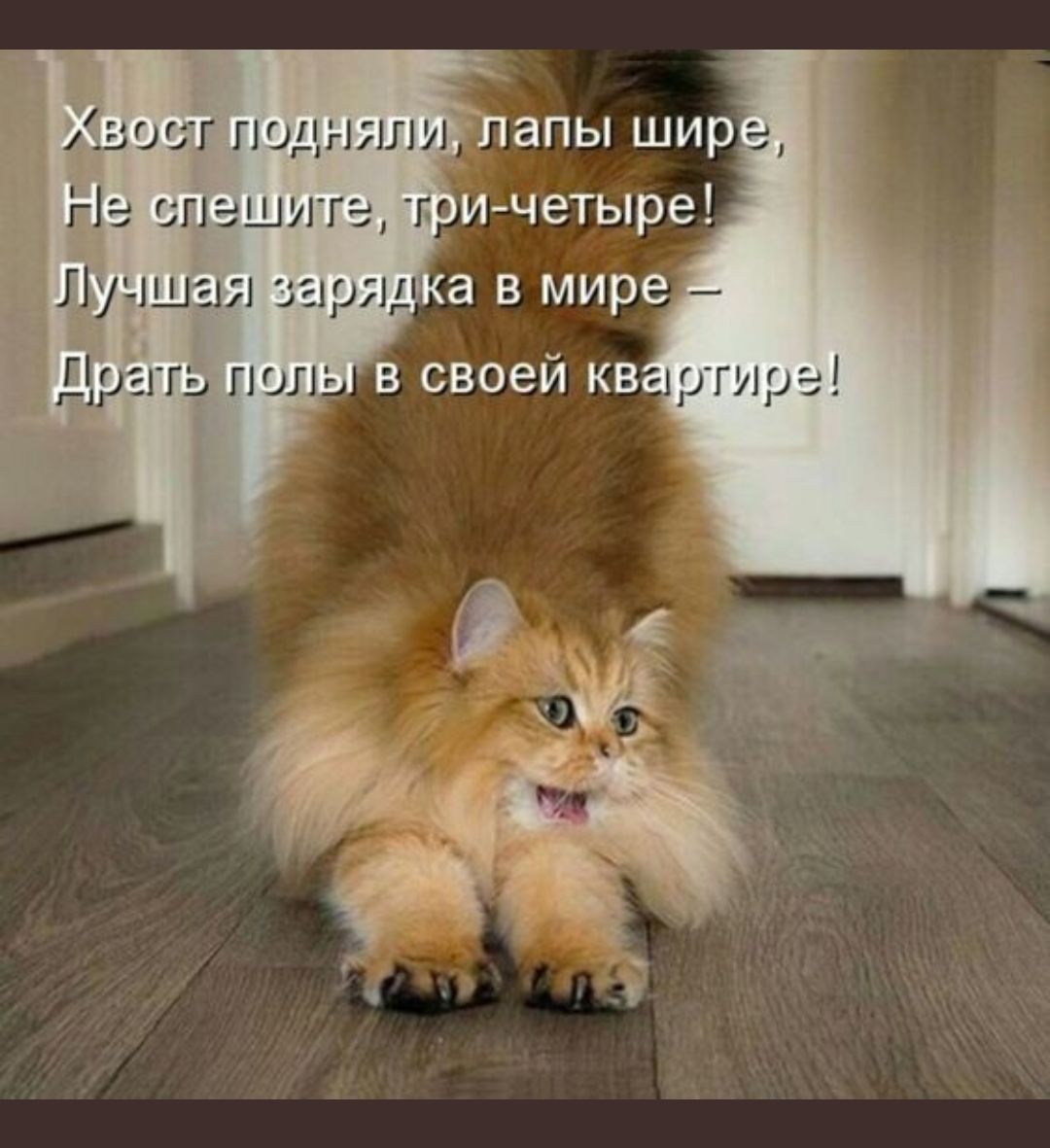 тезслеши ЛуВШая в Драуть Пв