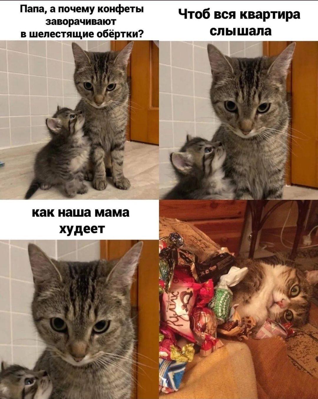 Папа а почему коме Единиц Чтоб вся квартира шепнтящие обертки слышала как наша мама худеет