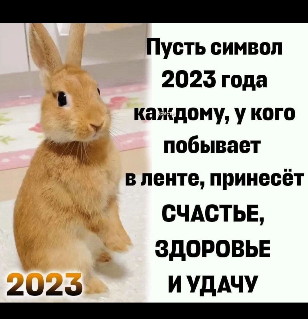 Пусть символ 2023 года каждому у кого побывает А в ленте принесёт Ми СЧАСТЬЕ ЗДОРОВЬЕ 202 И УдАЧУ