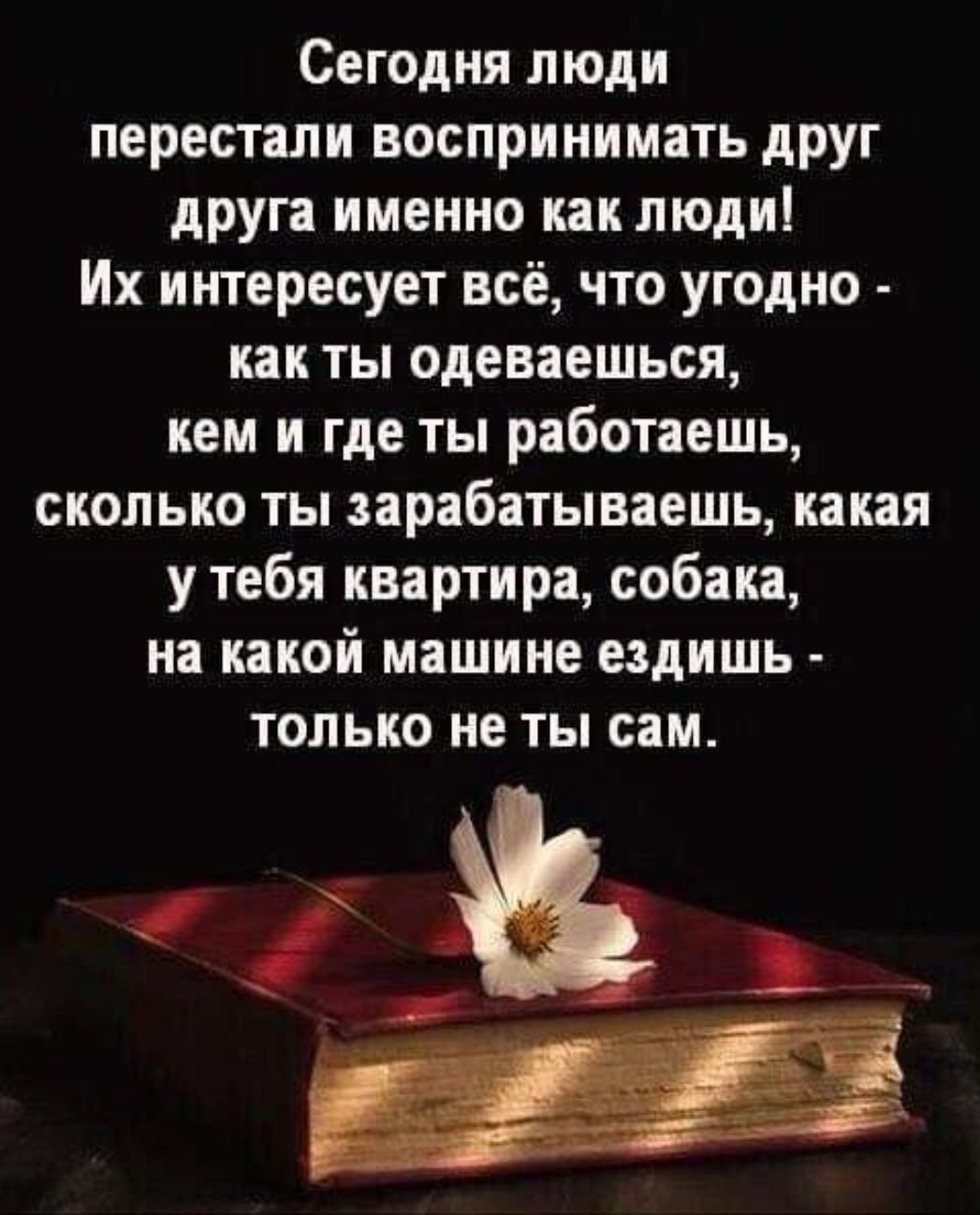 Сегодня люди перестали воспринимать друг друга именно как люди Их интересует всё что угодно как ты одеваешься кем и где ты работаешь сколько ты зарабатываешь какая у тебя квартира собака на какой машине ездишь только не ты сам