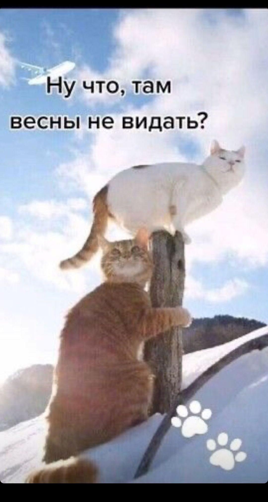 Ну что там весны не видать