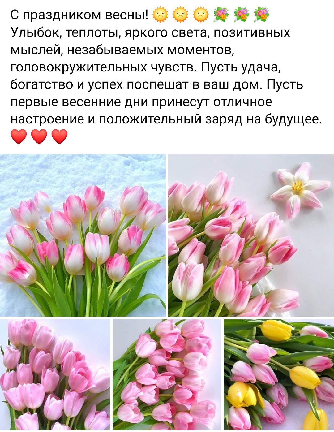 С праздником весны С 1 Улыбок теплоты яркого света позитивных мыслей незабываемых моментов головокружительных чувств Пусть удача богатство и успех поспешат в ваш дом Пусть первые весенние дни принесут отличное настроение и положительный заряд на будущее уму