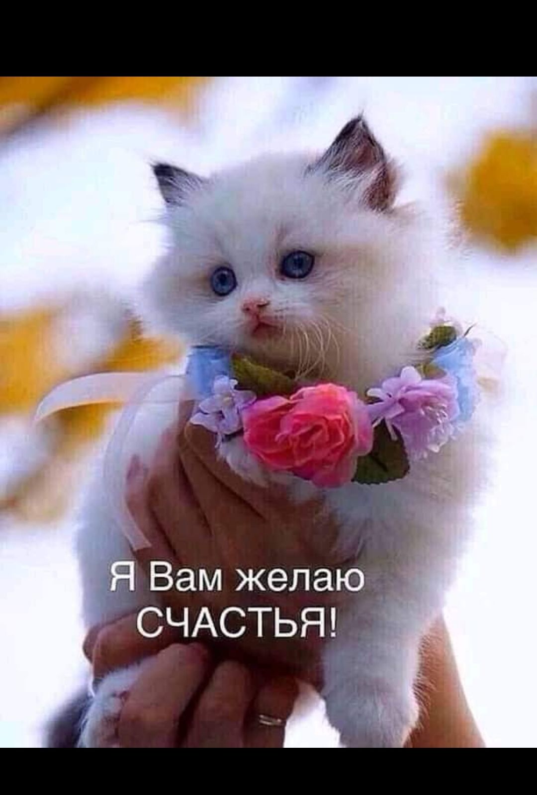Вам желаю СНАСТЬЯ