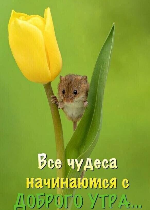 Все чудеса начинаЮМся с
