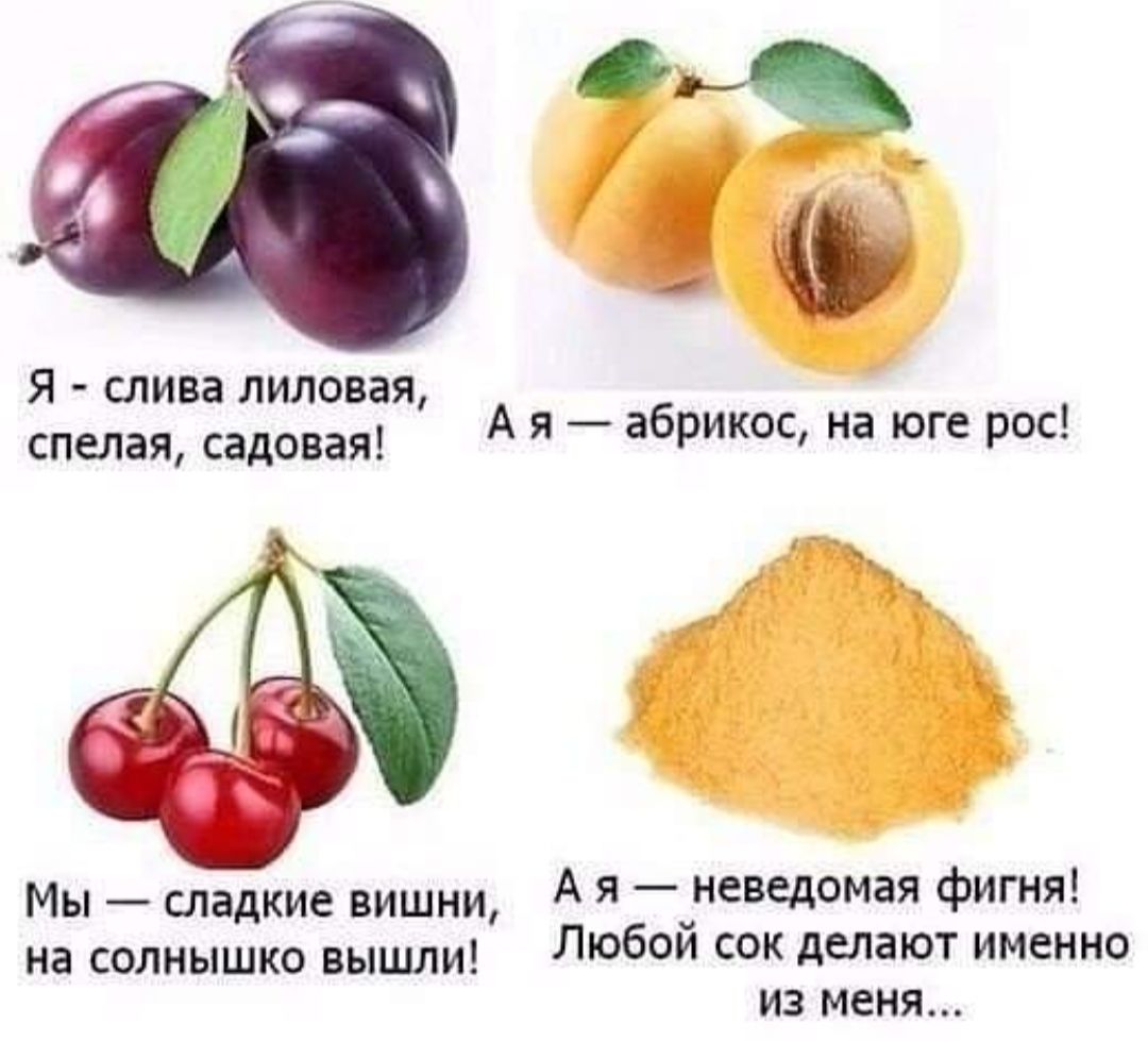 Я слива липовая спелая садовая А я абрикас на юге рос Мы сладкие вишни А я _ неведомая фигня иа солнышко вышли Любой сок делают именно из меня