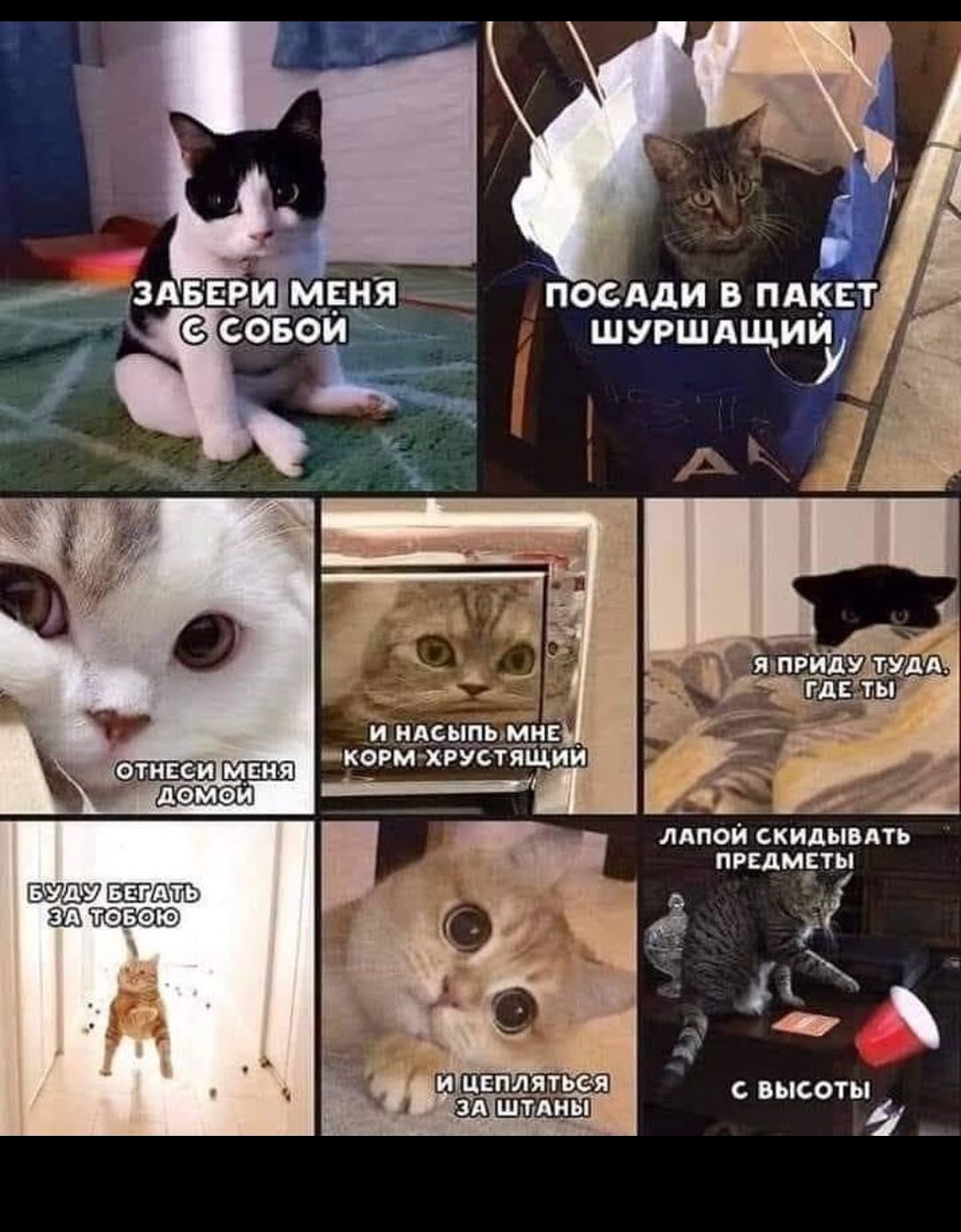 пос Ади в пики шугшдщиьу мпои скилы дп 4і_ высоты