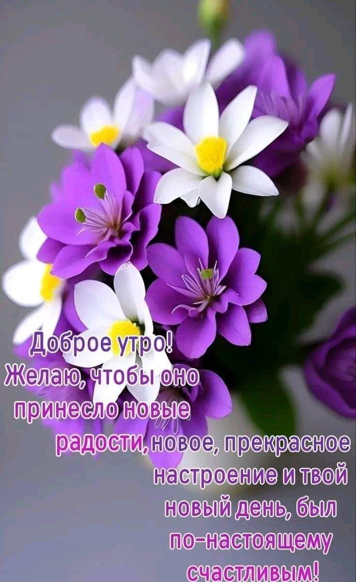 радэсти неваеп настн и твой а мы счастливым