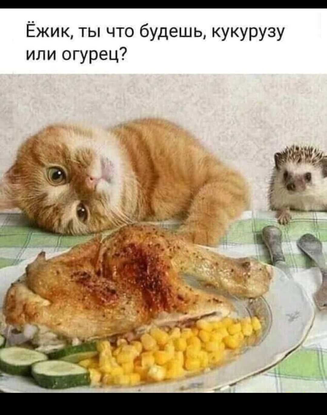 Ёжик ты что будешь кукурузу ипи огурец