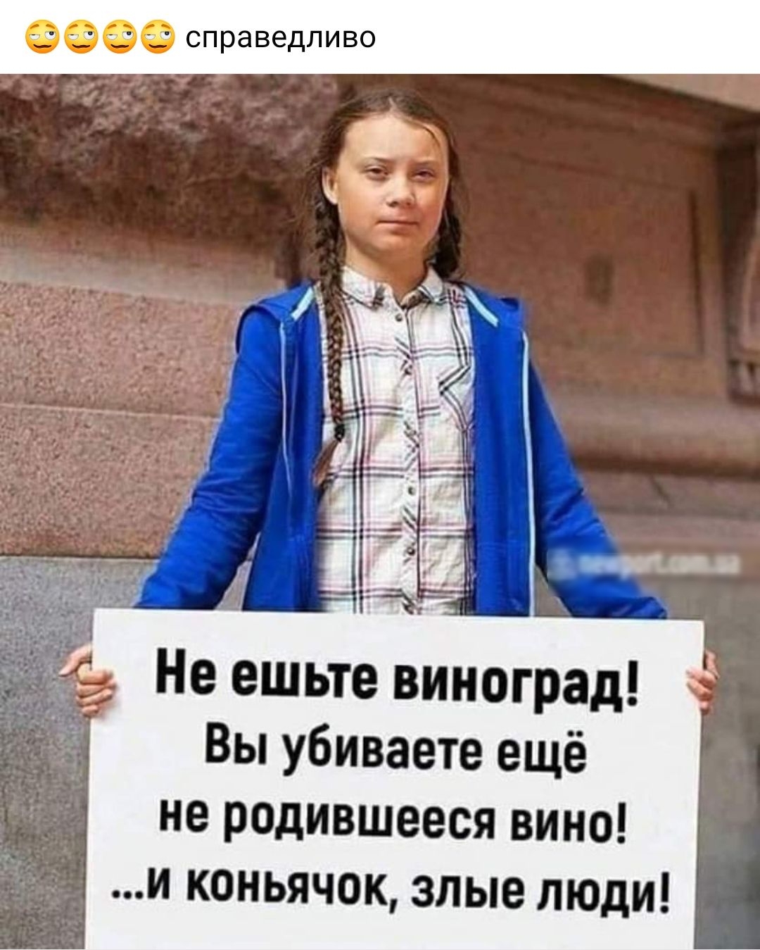Не ешьте виноград Вы убиваете ещё не родившееся вино и коньячок злые люди