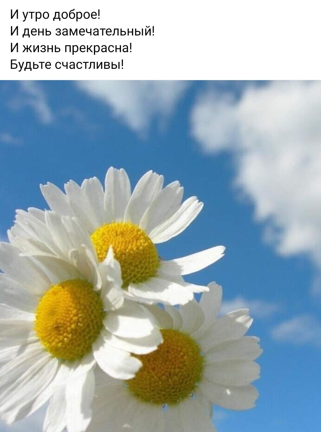 и утро доброе И день замечательный И жизнь прекрасна Будьте счастливы
