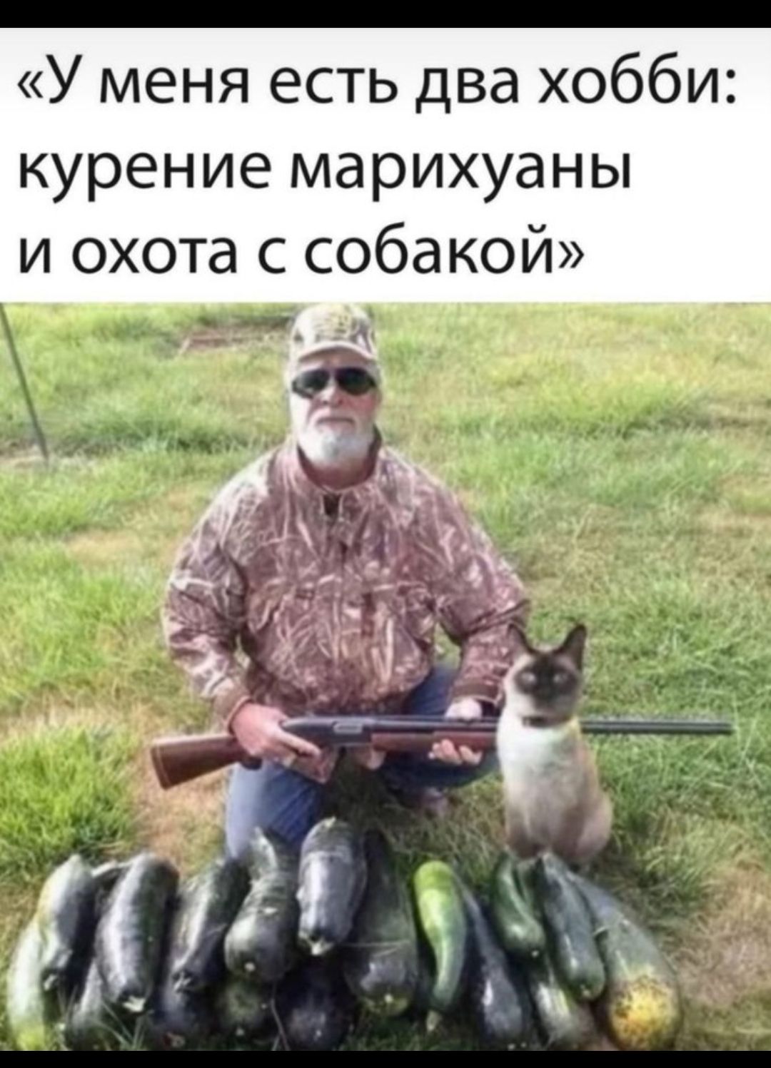 У меня есть два хобби курение марихуаны и охота с собакой