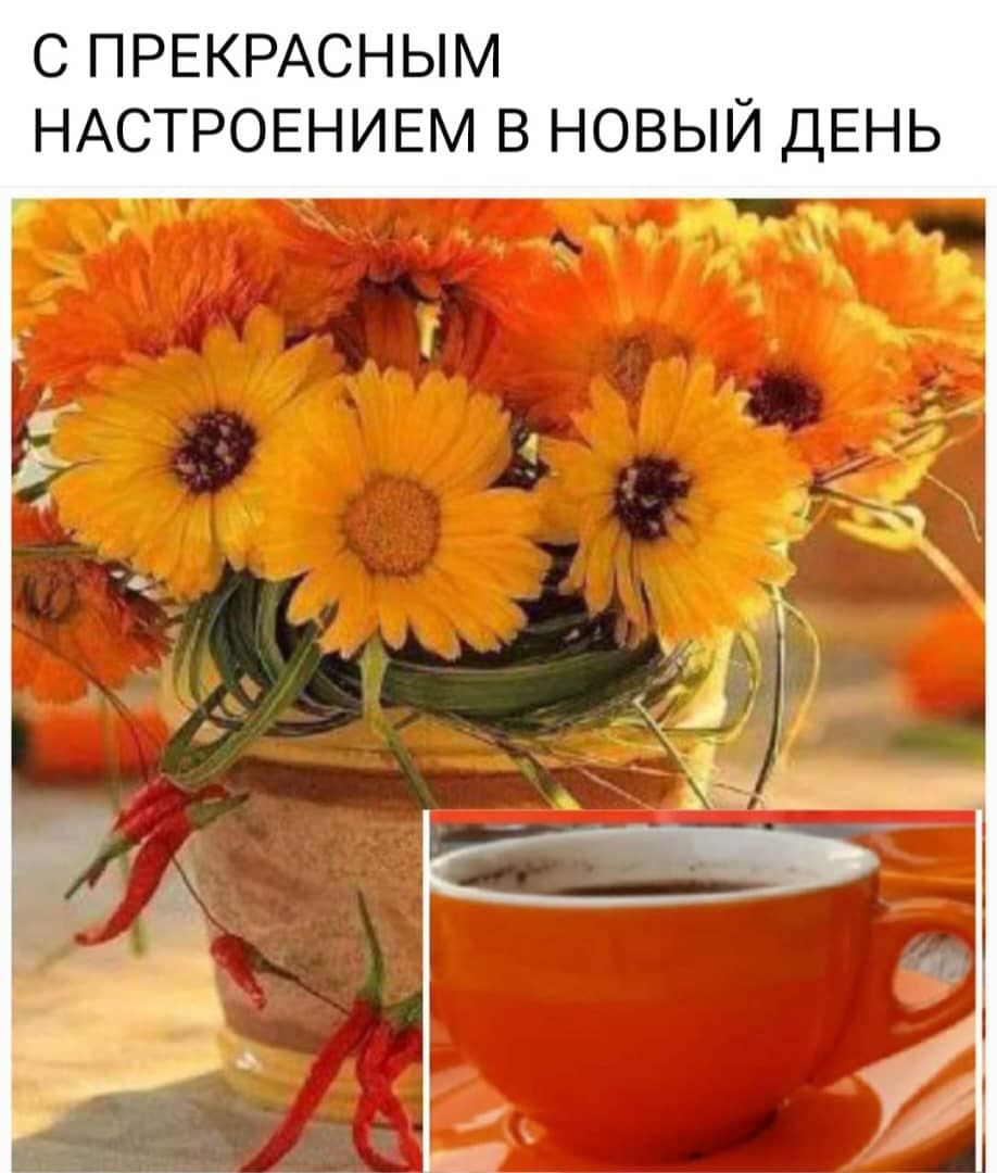 С ПРЕКРАСНЫМ НАСТРОЕНИЕМ В НОВЫЙ ДЕНЬ