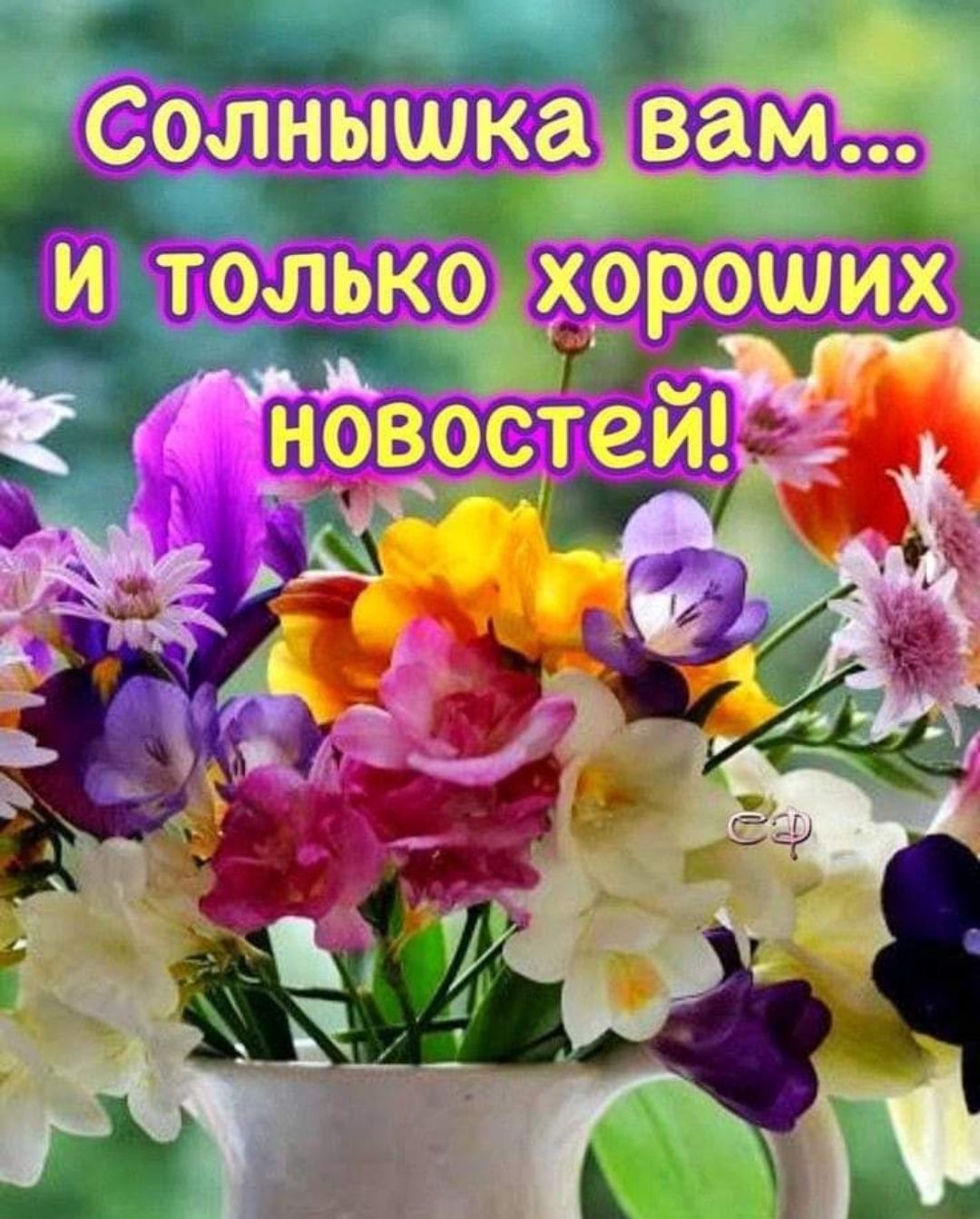 _ Солнышка