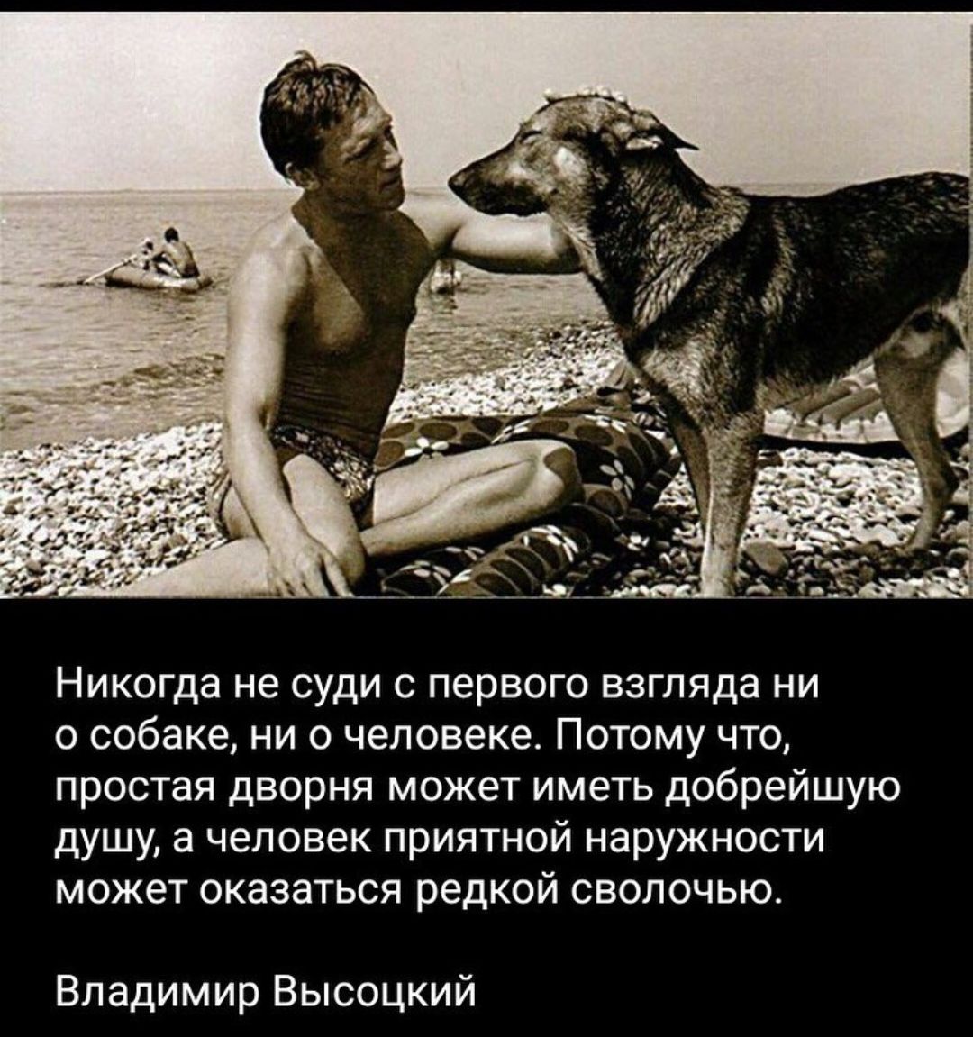 не подходи к чужим столам высоцкий