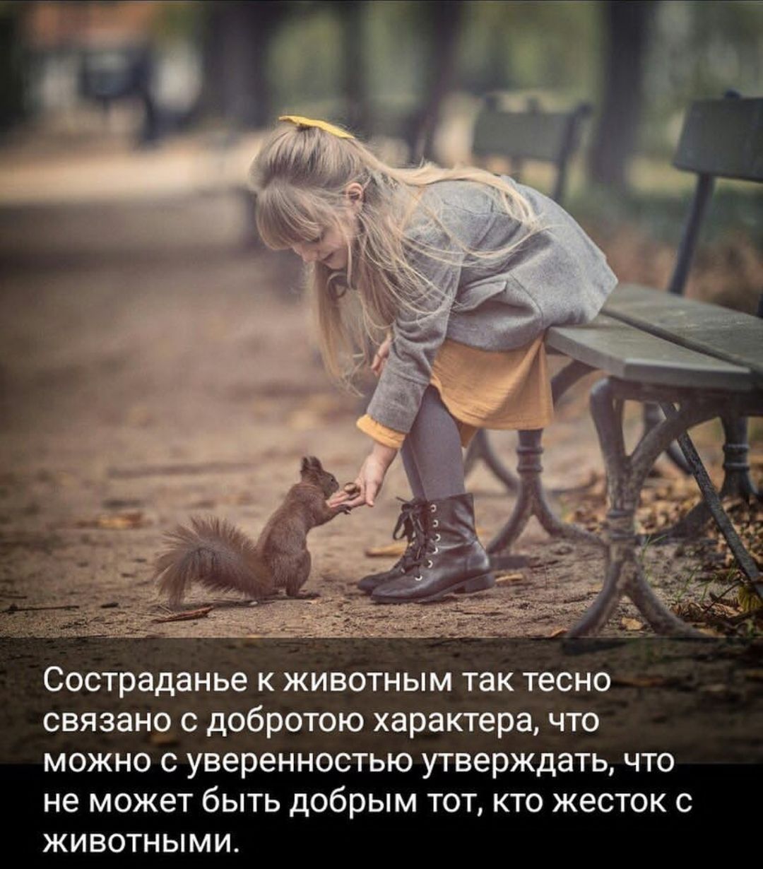 Состраданье к животным так тесно связано добрвтою характера что можно с уверенностью утверждать что не может быть добрым ты кто жесток животным и