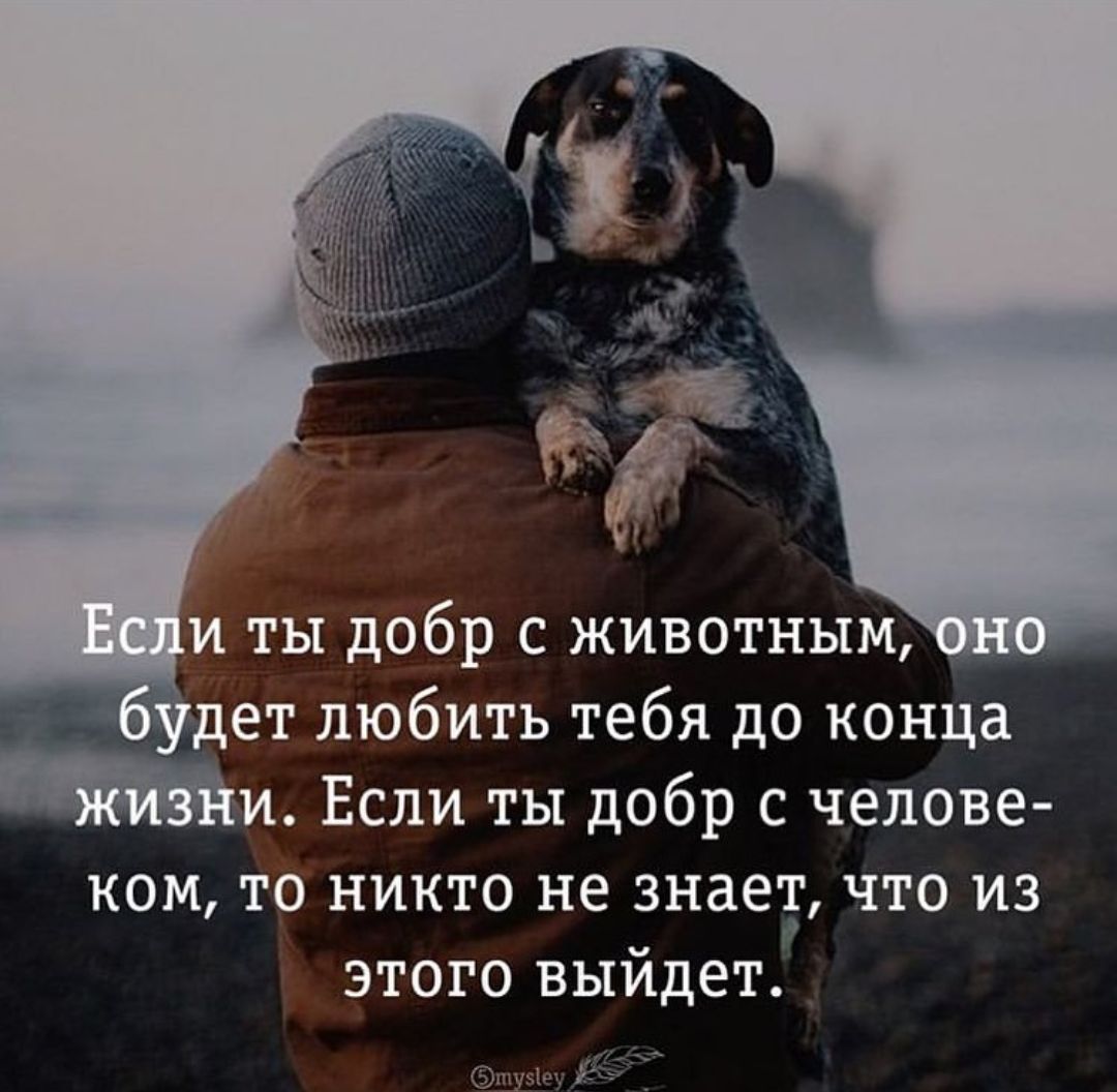 дет любить тебя до конца и Если ты добр с челове ком то никто не знаеу что из этого выидет