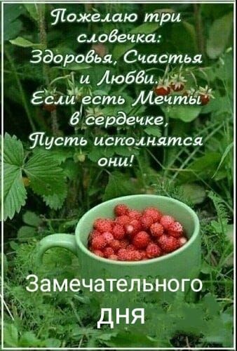 Шожёлаю три сдобечка Здоробьзъ Счастья и Аюбби Есин ест Матьё бреддёчке А Шусть испонятся Г они _