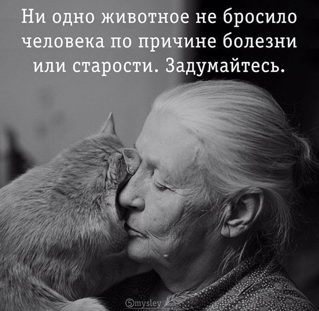 не бросило