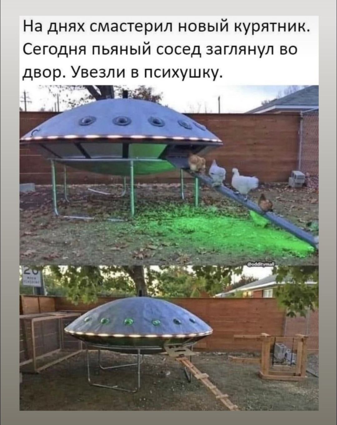 На днях смастерил новый курятник Сегодня пьяный сосед заглянул во двор Увезли в психушку