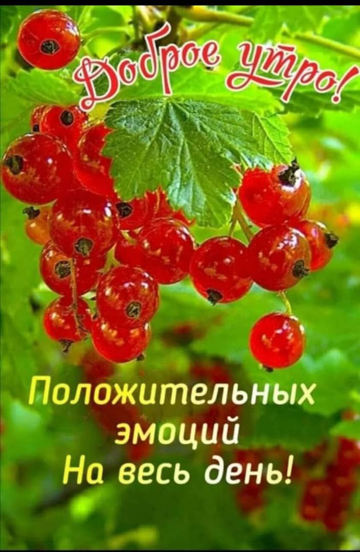 Тдсэлахштел_ьных _ эмоции На весь день