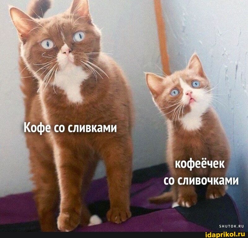 С ШИВОЧКЗМИ