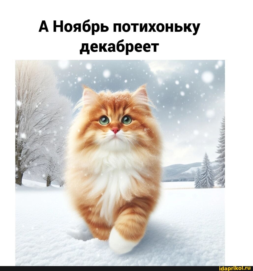 А Ноябрь потихоньку декабреет жим