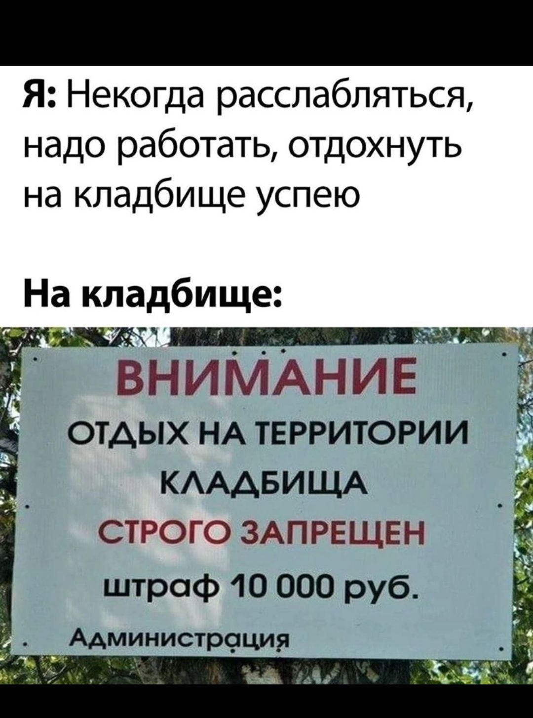 Я Некогда расслабляться надо работать отдохнуть на кладбище успею На кладбище к _а ВНИМАНИЕ ОТАЫХ НА территории 5 КАААБИЩА _ 3 строго ЗАПРЕЩЕН штраф 10 000 руб Мминистроция