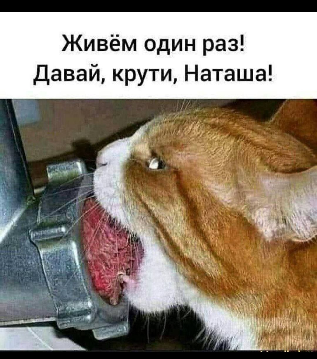 Живём один раз! Давай, крути, Наташа!