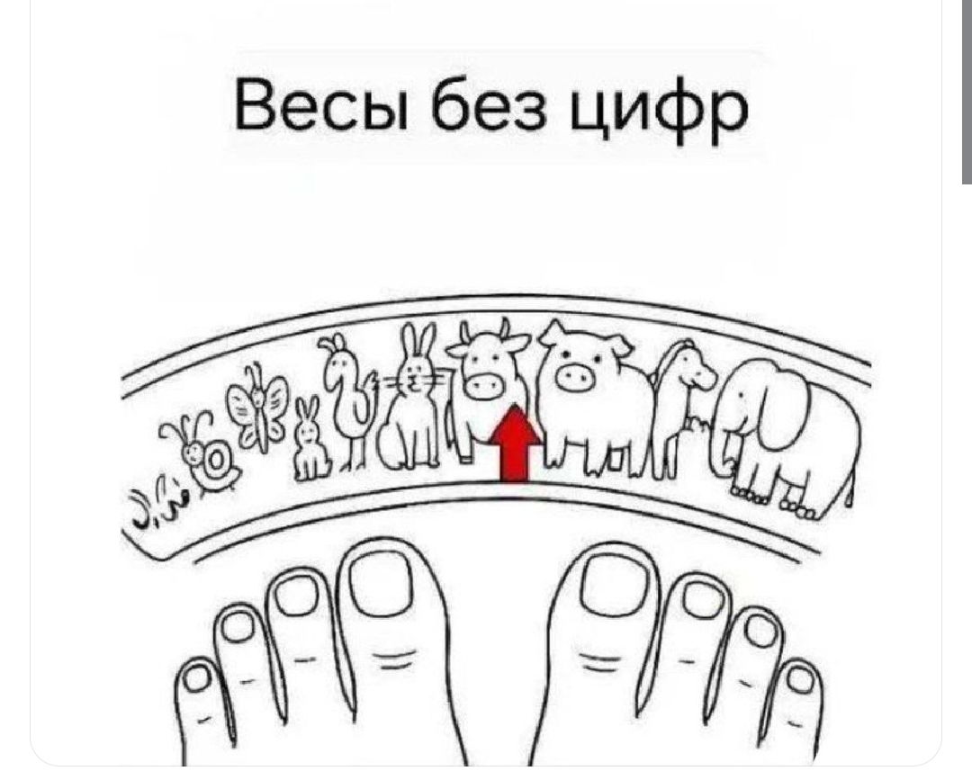 Весы без цифр