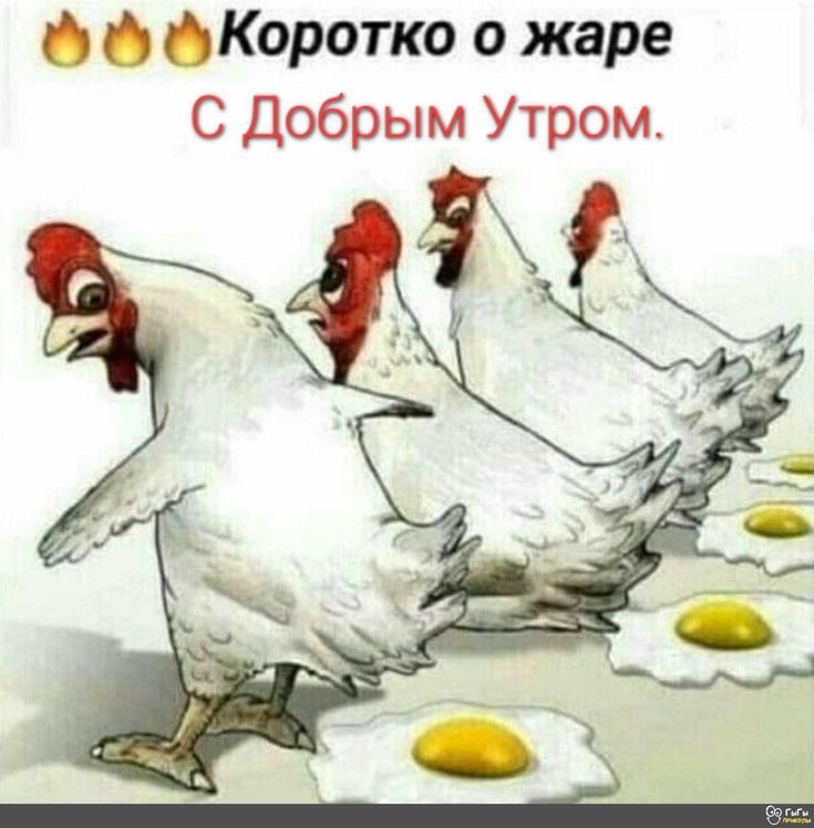 🔥🔥Корочко о жаре С Добрым Утром.