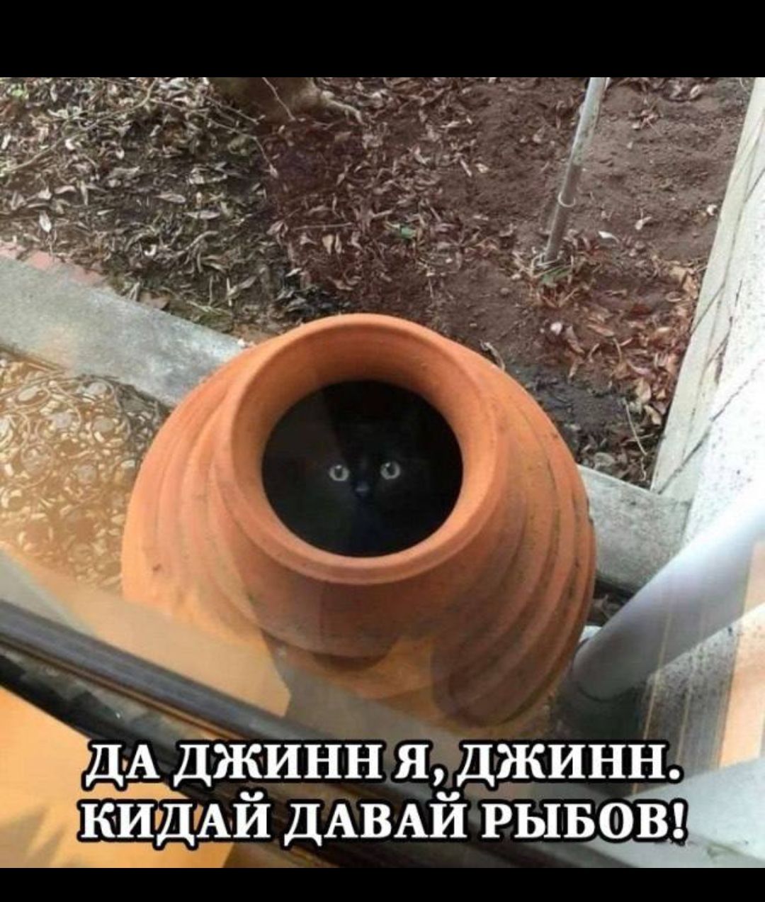 ДА ДЖИНН Я, ДЖИНН. КИДАЙ ДАВАЙ РЫБОВ!