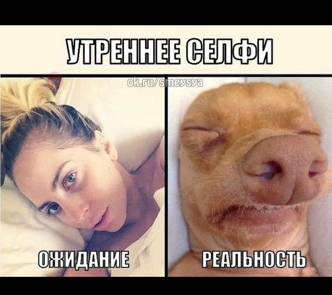 УТРЕННЕЕ СЕЛФИ ОЖИДАНИЕ РЕАЛЬНОСТЬ