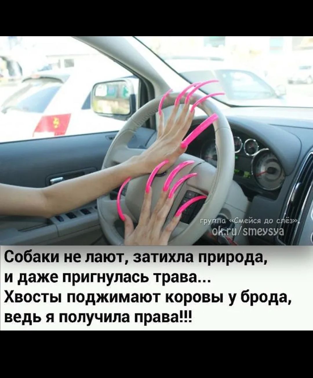 Собаки не лают, затихла природа, и даже пригнулась трава... Хвосты поджимают коровы у бродa, ведь я получила права!!!!