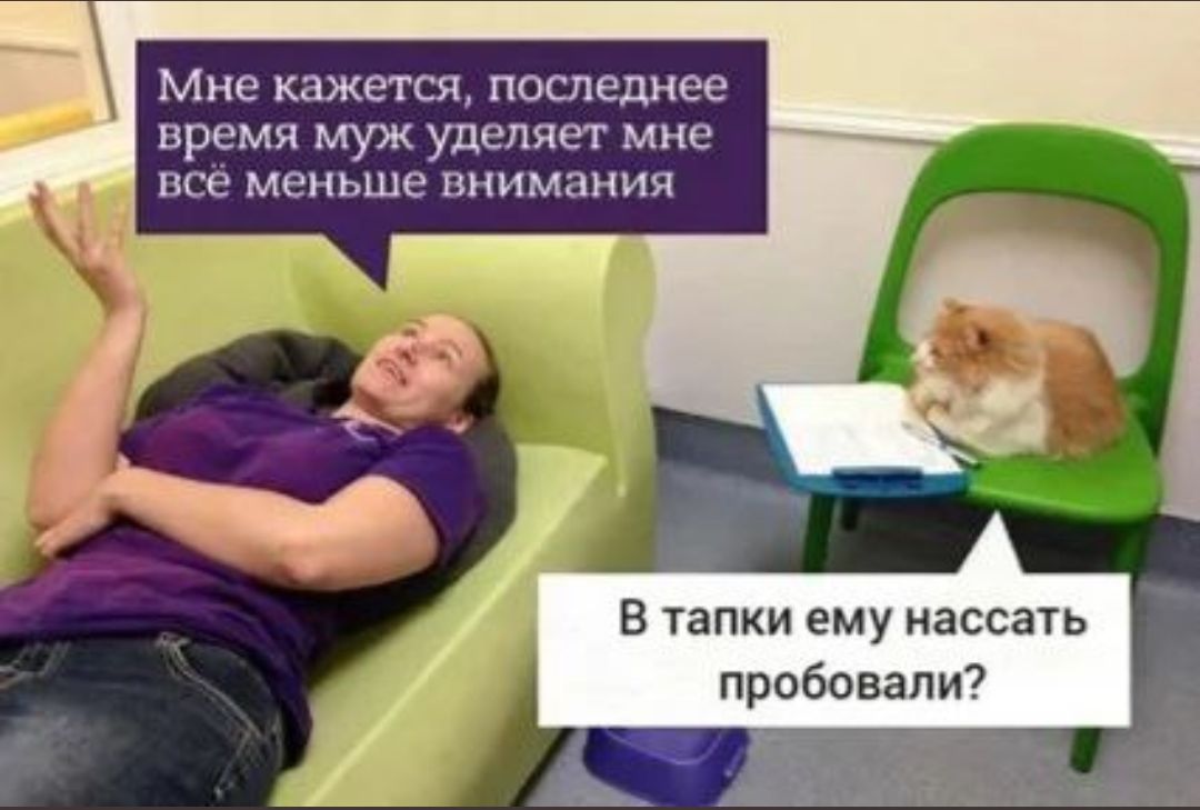 Мне кажется, последнее время муж уделяет мне всё меньше внимания. В тапки ему нассать пробовали?