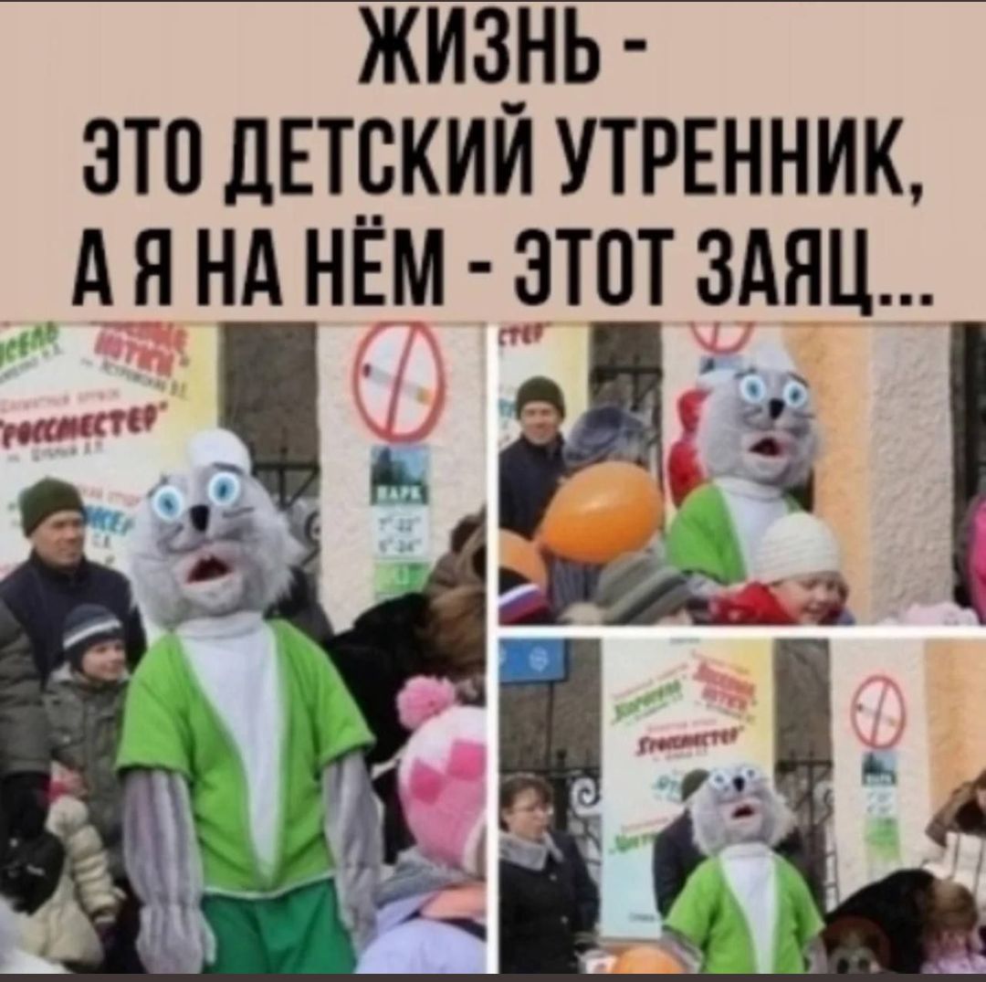 ЖИЗНЬ - ЭТО ДЕТСКИЙ УТРЕННИК, А Я НА НЁМ - ЭТОТ ЗАЯЦ...