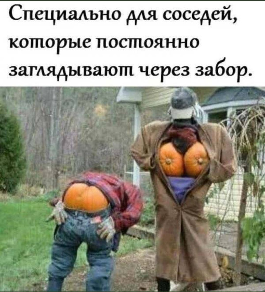 Специально для соседей, копорые постоянно заглядывают через забор.