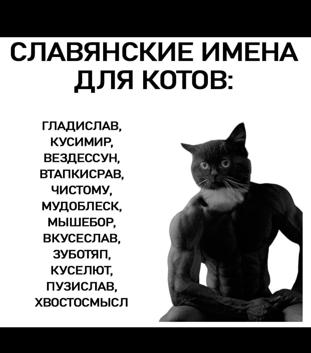 СЛАВЯНСКИЕ ИМЕНА ДЛЯ КОТОВ: ГЛАДИСЛАВ, КУСИМИР, ВЕЗДЕССУН, ВТАПКИСРАВ, ЧИСТОМУ, МУДОБЛЕСК, МЫШЕБОР, ВКУСЕССЛАВ, ЗУБОЯП, КУСЕЛЮТ, ПУЗИСЛАВ, ХВОСТОСМЛ