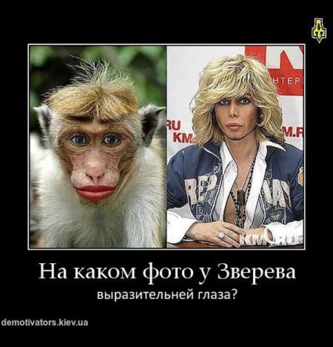 На каком фото у Зверева выразительней глаза?