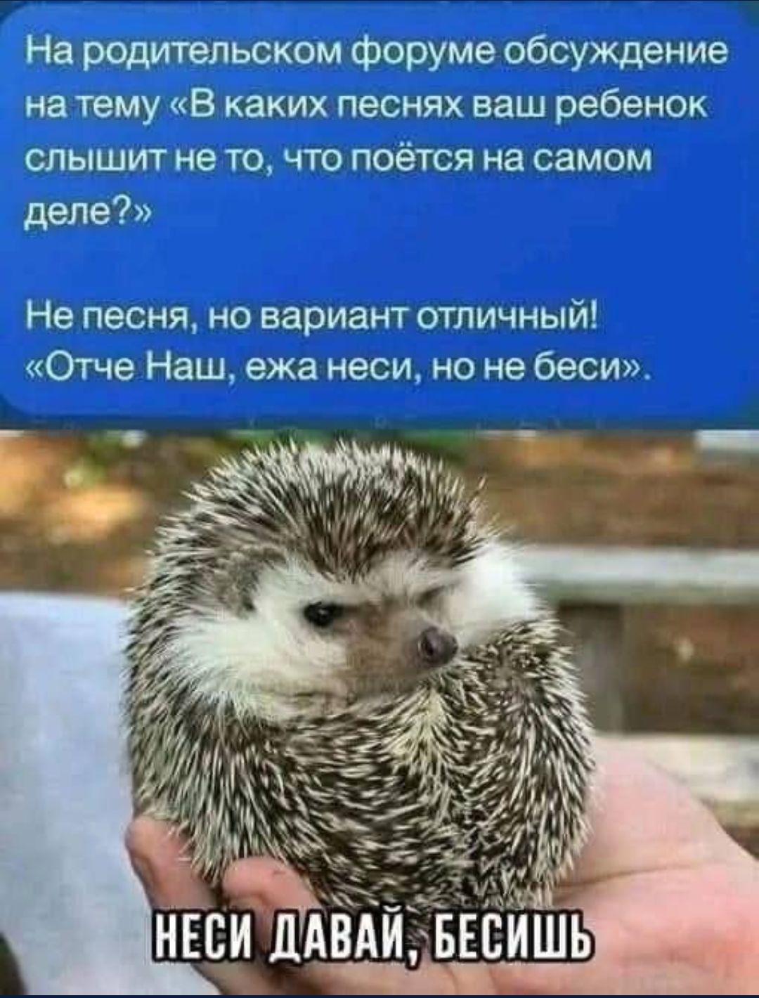 На родительском форуме обсуждение на тему «В каких песнях ваш ребенок слышит не то, что поётся на самом деле?» Не песня, но вариант отличный! «Отче Наш, ежа неси, но не беси»
