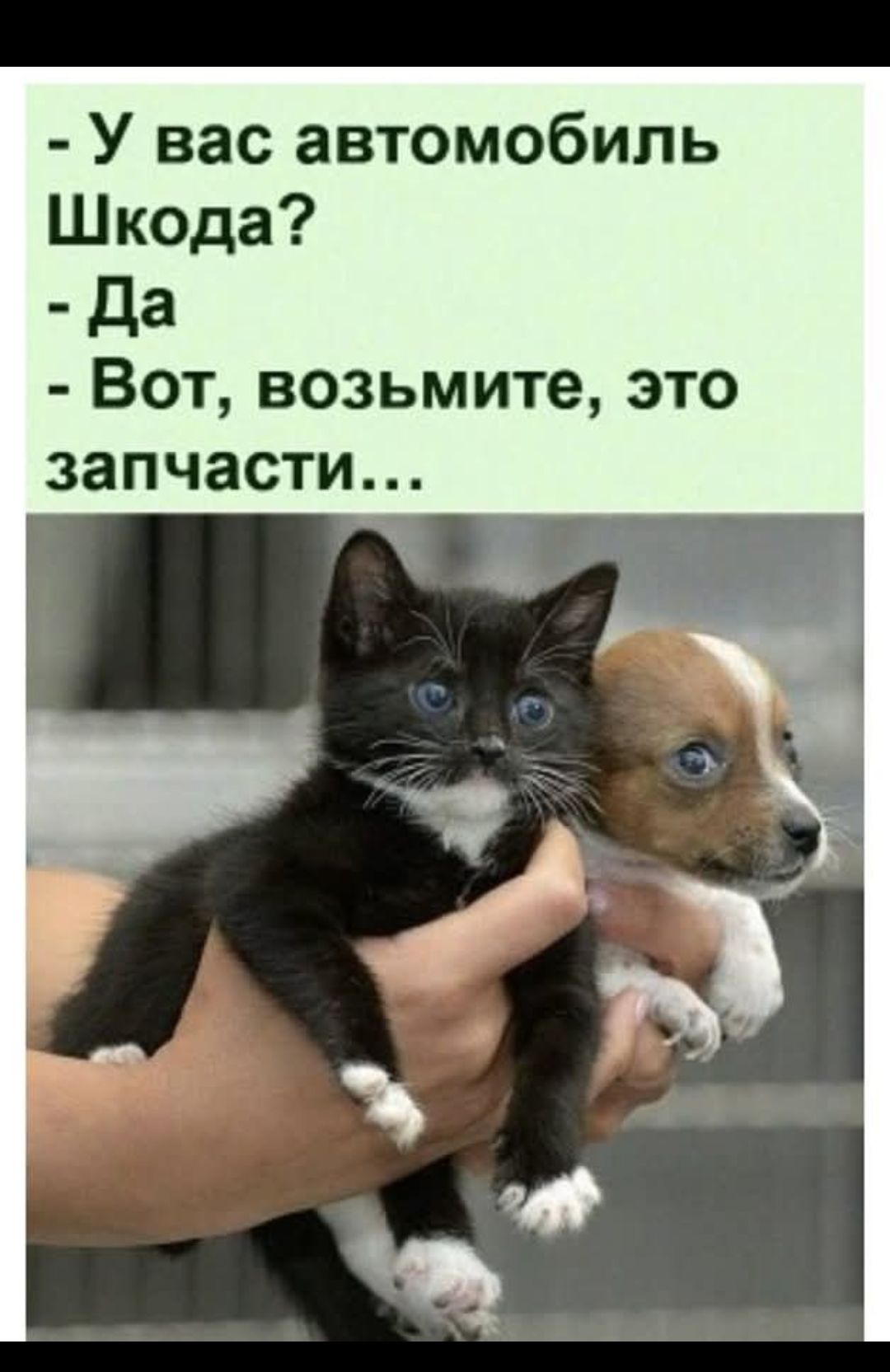 - У вас автомобиль Шкода?
- Да
- Вот, возьмите, это запчасти...