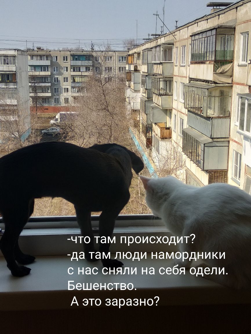 что там происходит да там люди намфдники СН одели А это заразно