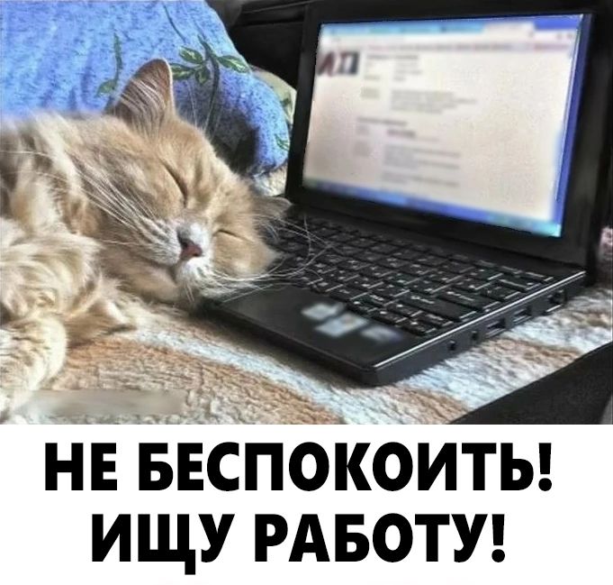 нв внспбкойть ищу РАБОТУ